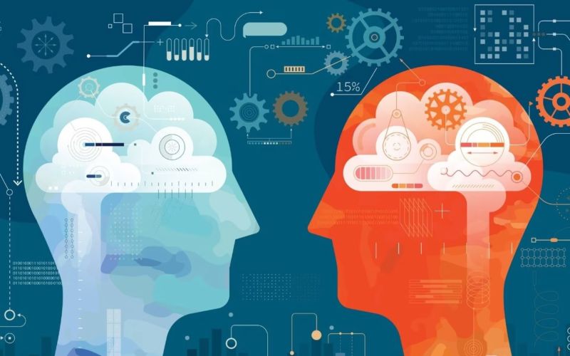 成都软件开发公司:移动应用选型密码,助力企业抢占数字先机!